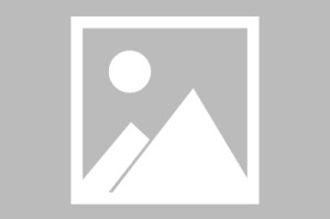 总决赛1-1战平后 赢下G3的球队有80.5%夺得冠军